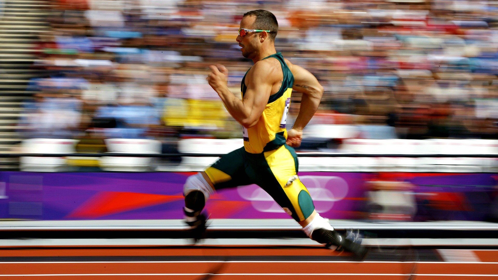 _运动员访谈：青春奋斗的真实故事_，运动员的青春作文